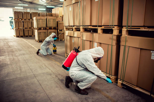 Best Pest Removal Services  in Rio Rancho Estates, NM