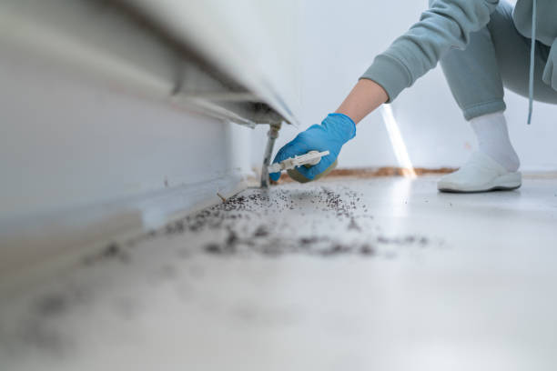 Best Best Pest Control Companies  in Rio Rancho Estates, NM